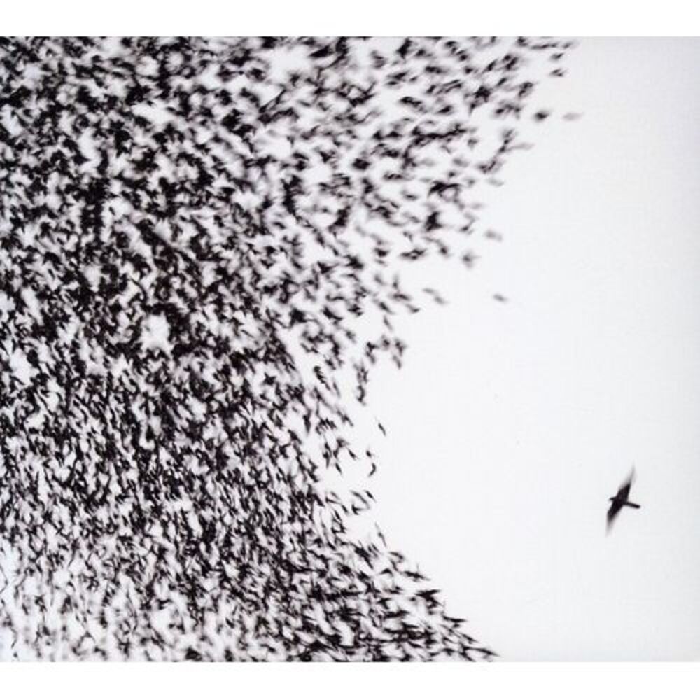 Wilco - Sky Blue Sky  CD